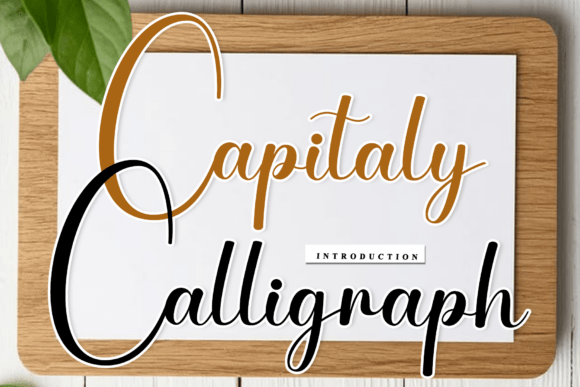 Capitaly Calligraph Typeface Review