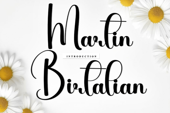 Martin Birtalian Typeface for Campaign Clarity